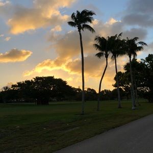 Meet your Posher, Lily